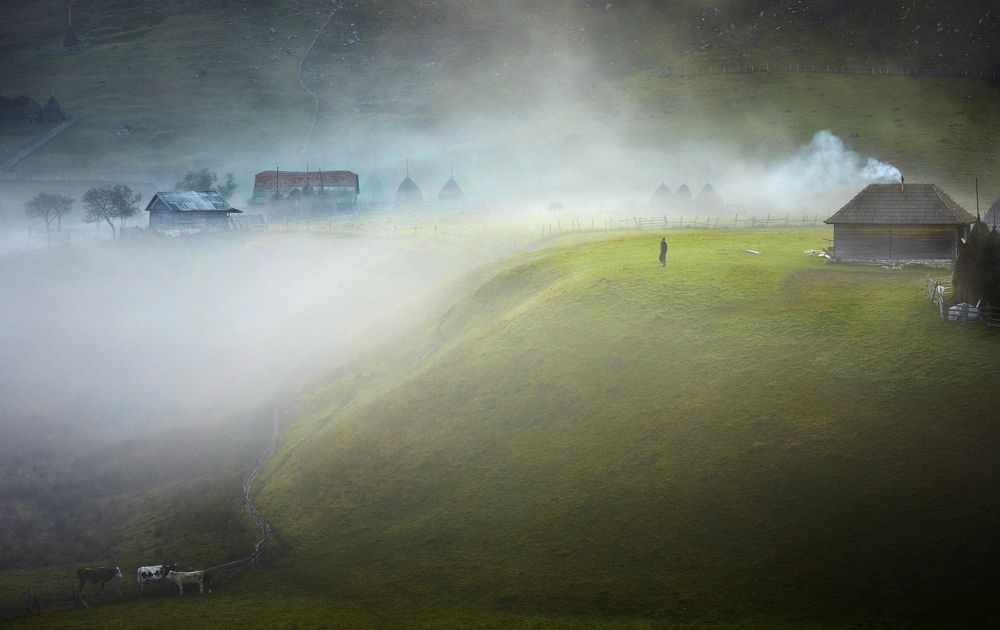 Photograph by Diana Buzoianu