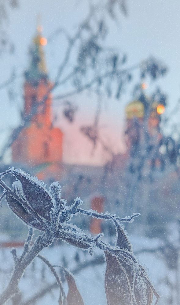 Фотография автора Анастасия Мамаева