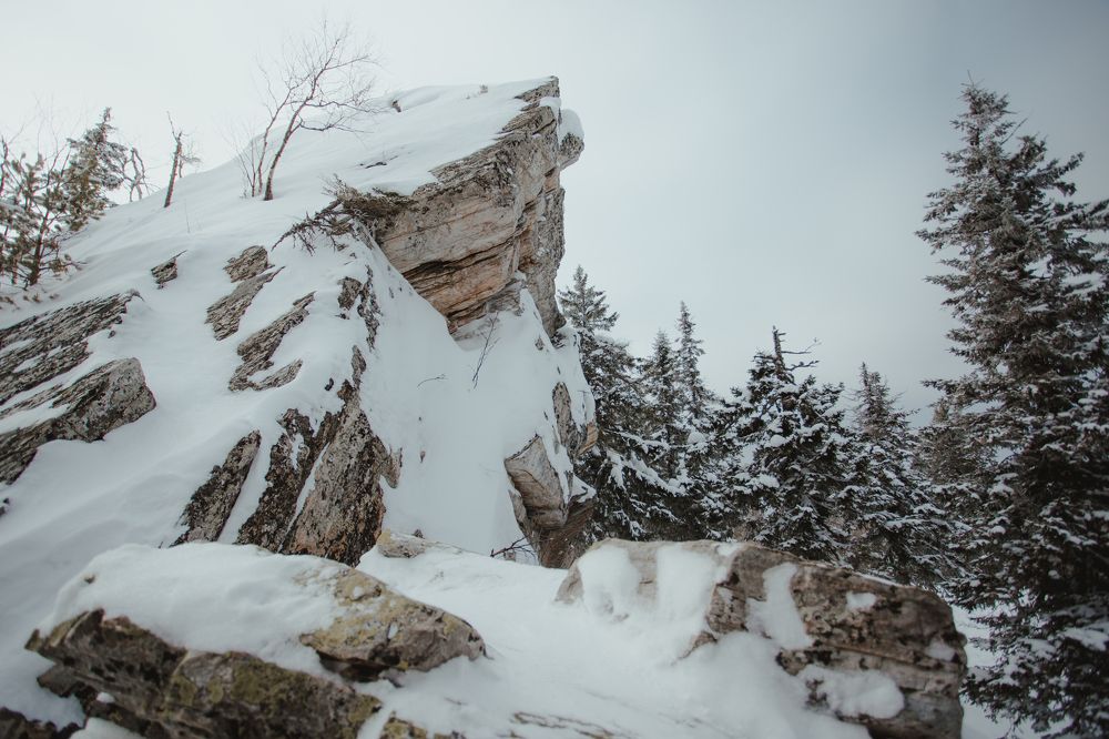 Фотография автора Олеся Евгеньевна