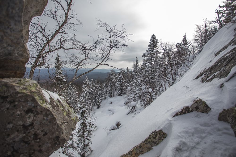 Фотография автора Олеся Евгеньевна