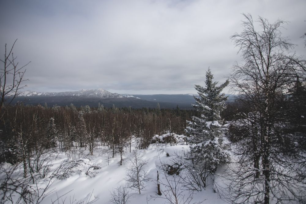 Фотография автора Олеся Евгеньевна