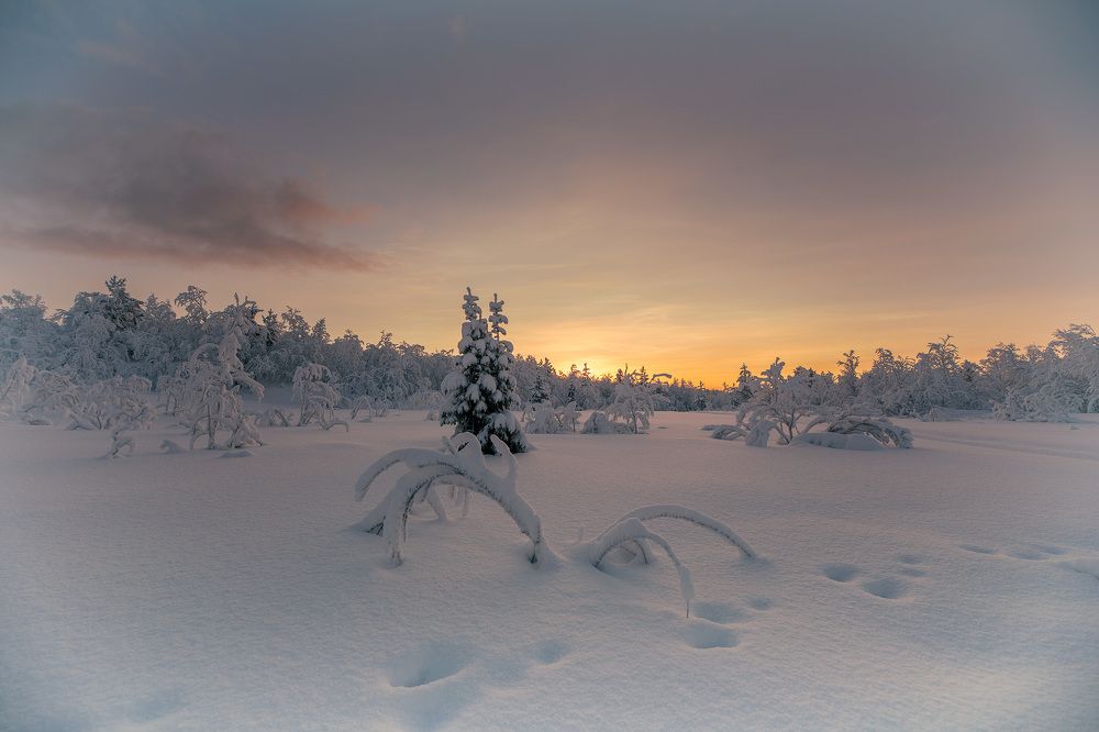 Photograph by Александр Ворошилов