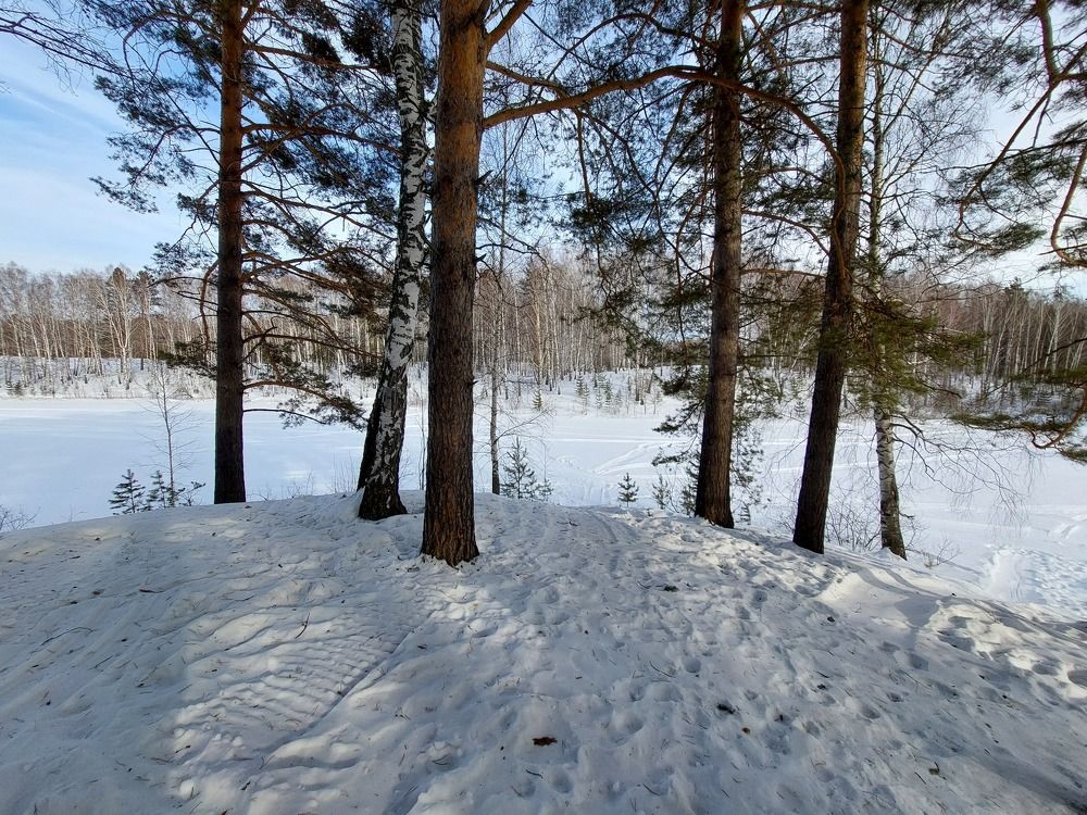 Photograph by Мазур Максим