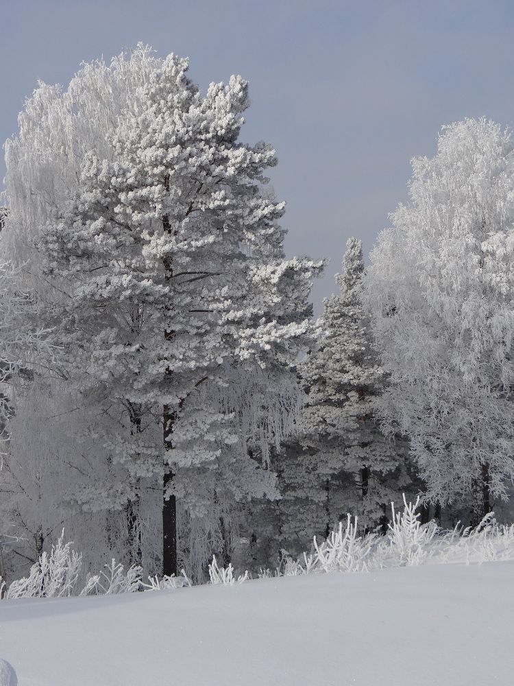 Photo #10165743