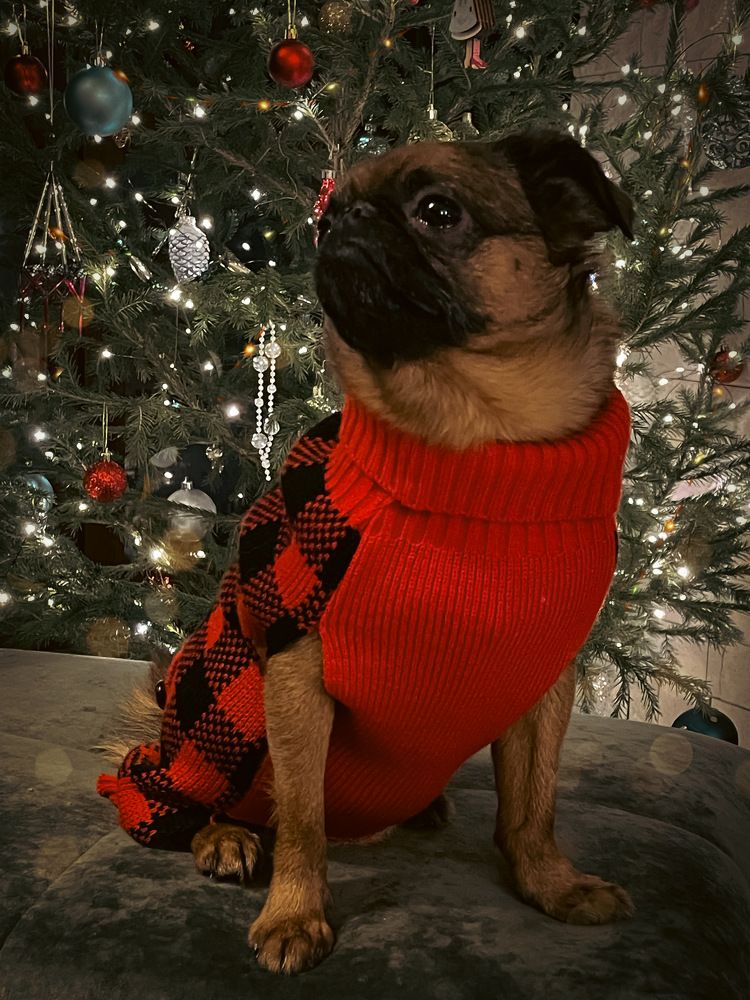 Photograph by Ольга Дорошенко