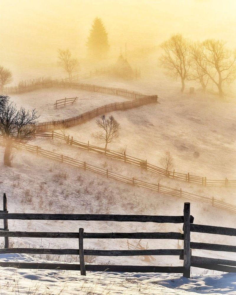 Photograph by Netedu David