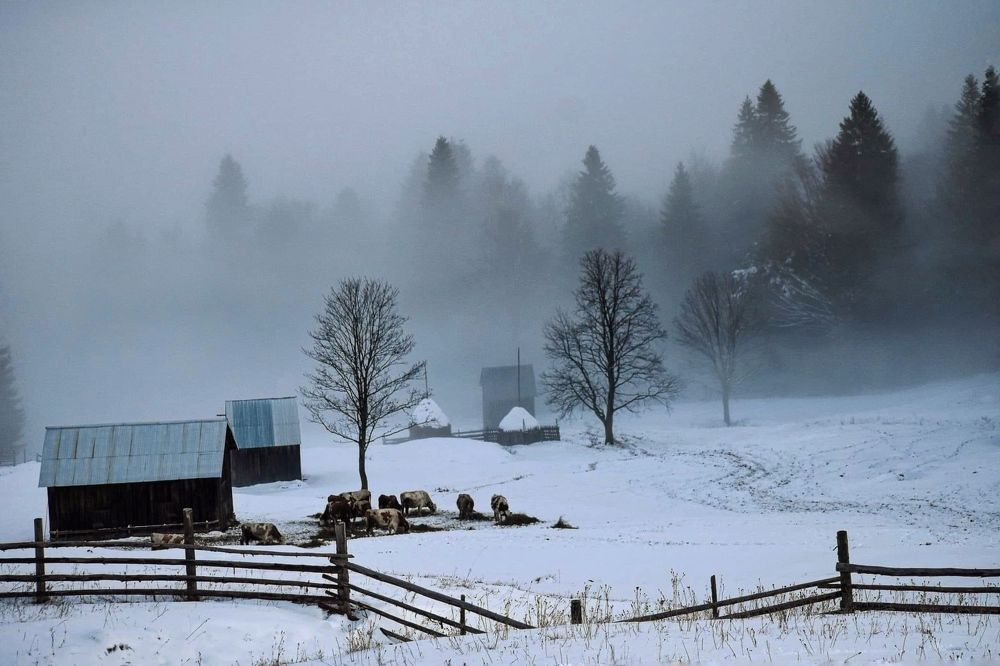 Photograph by Netedu David