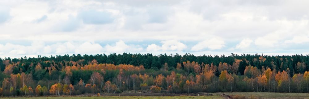 ДЕРЕВЕНСКИЙ ПЕЙЗАЖ