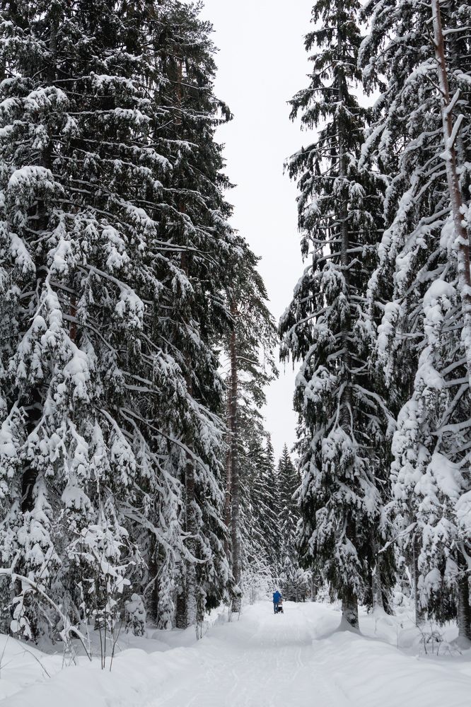 Photograph by Катя Цвет