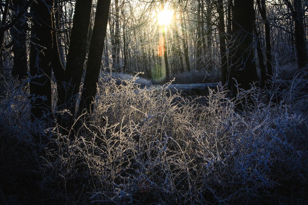 Photograph by Катя Цвет