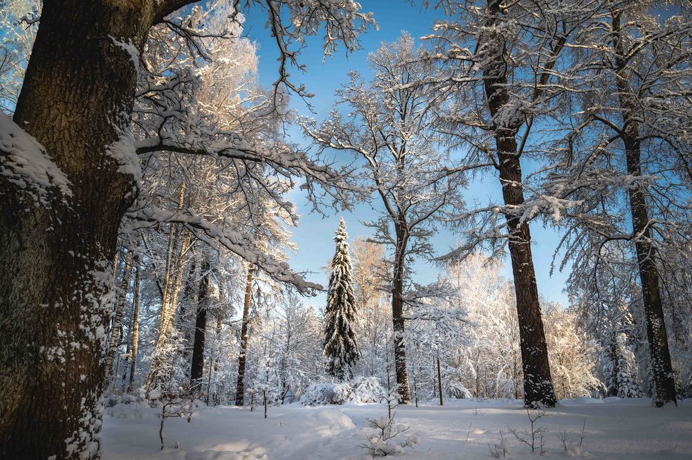 Фотография автора Мороз Ирина
