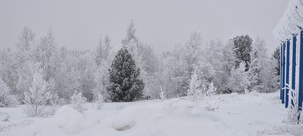 Фотография автора Елена Евтушенко