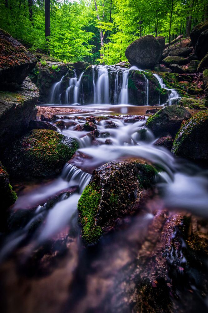 Photograph by Petr Musil