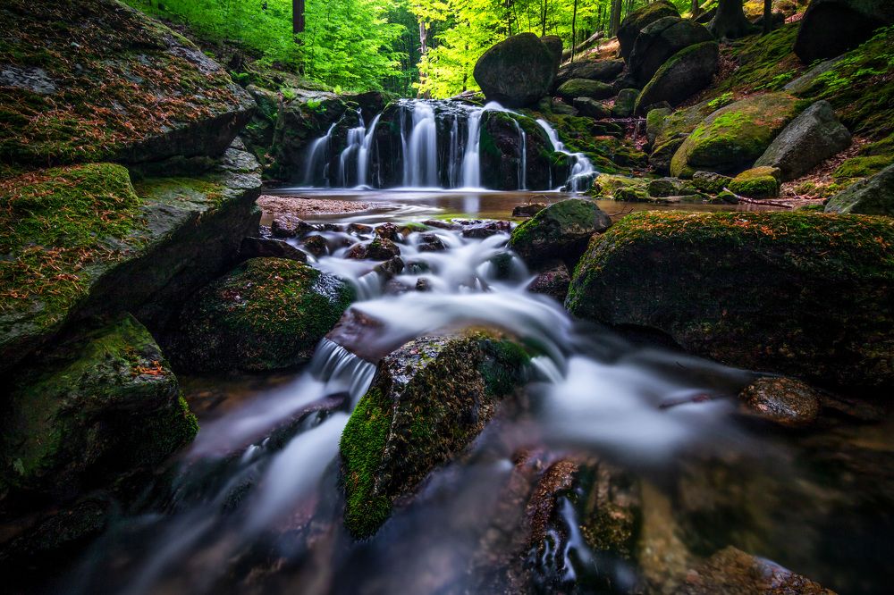 Photograph by Petr Musil