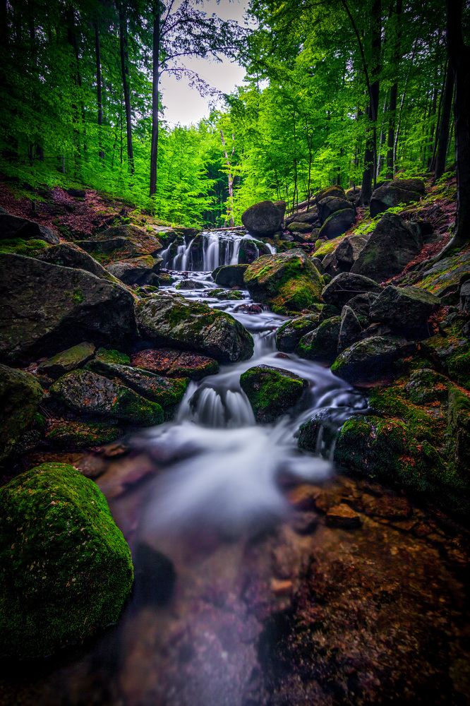 Photograph by Petr Musil