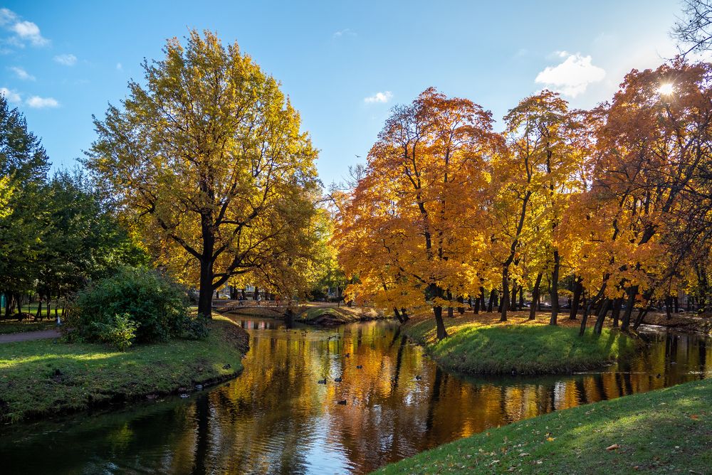 Colorful autumn