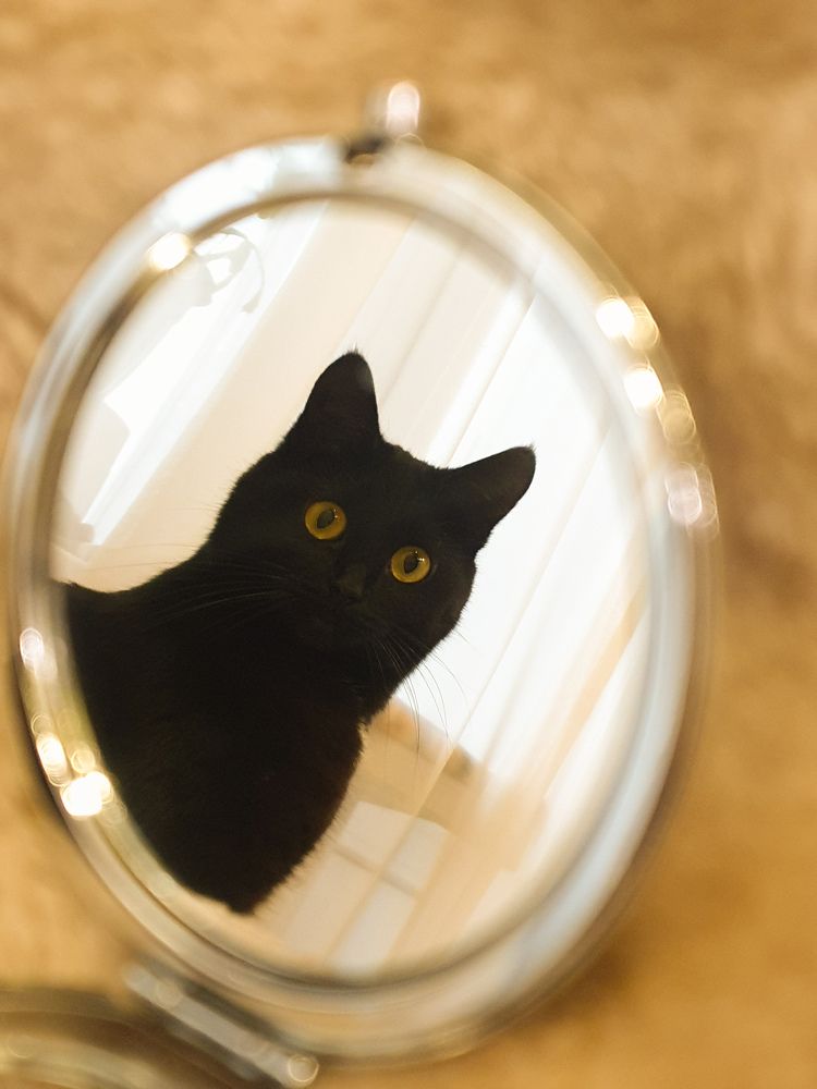 Photograph by Наталья Коншина