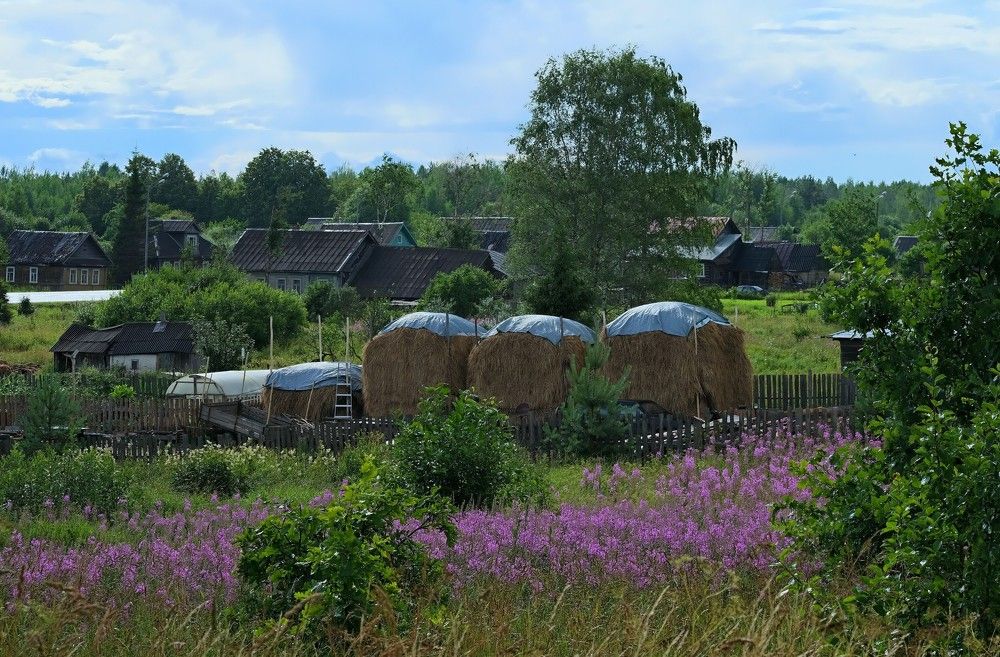 Photograph by Светлана Юрьевна Елагина