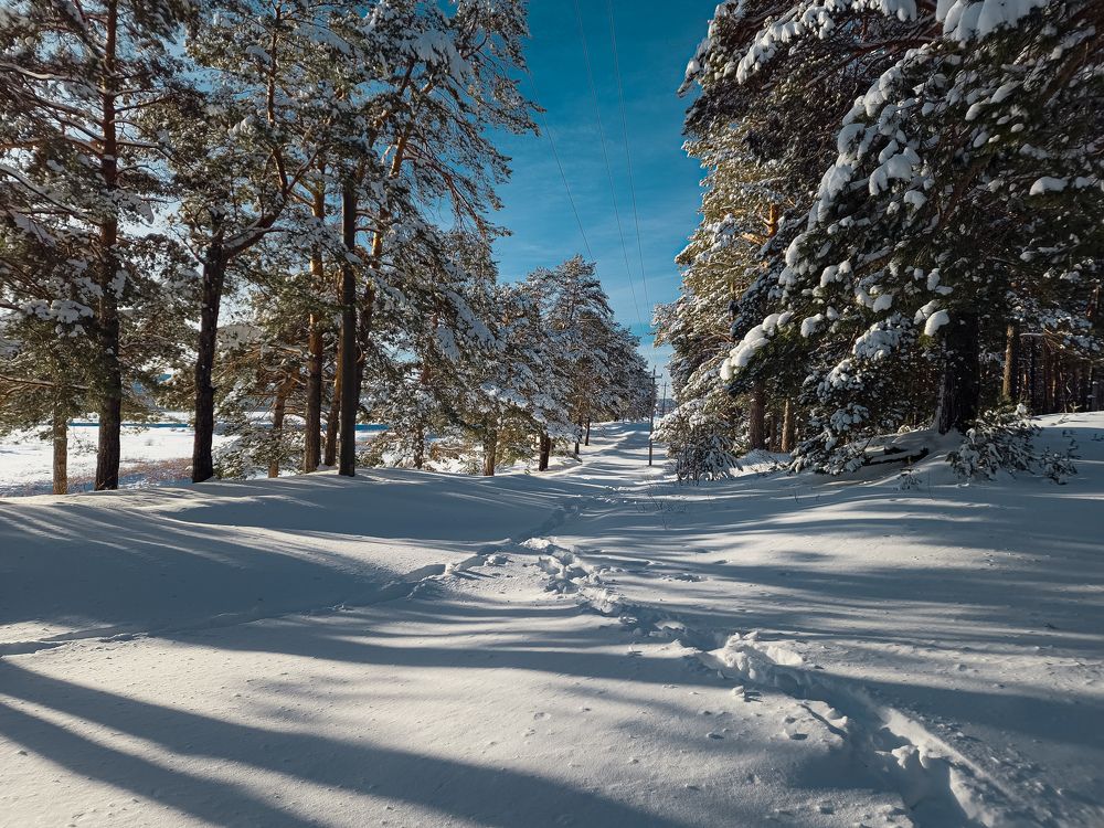 Photograph by Konstantin Martynov