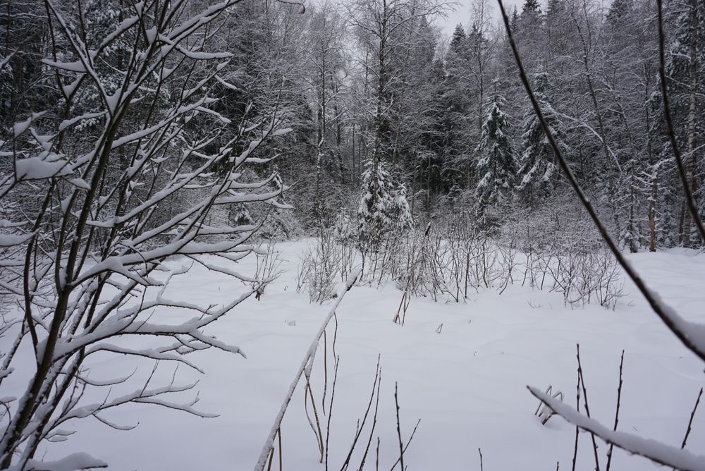 Photograph by Михаил Трусов