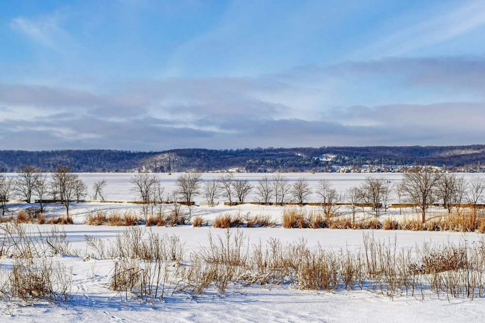 Утром на водоеме
