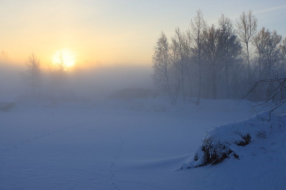 Photograph by Владилен Панченко