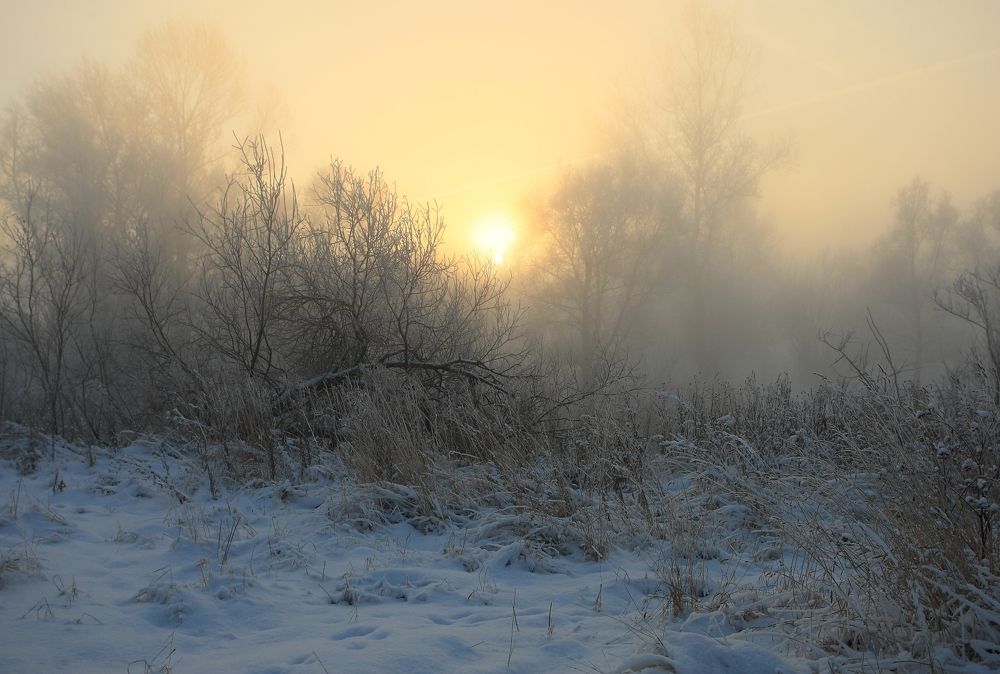 Photograph by Владилен Панченко