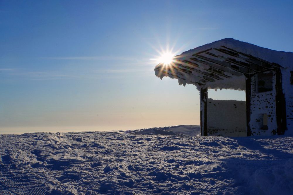 Photograph by Максимова Ирина