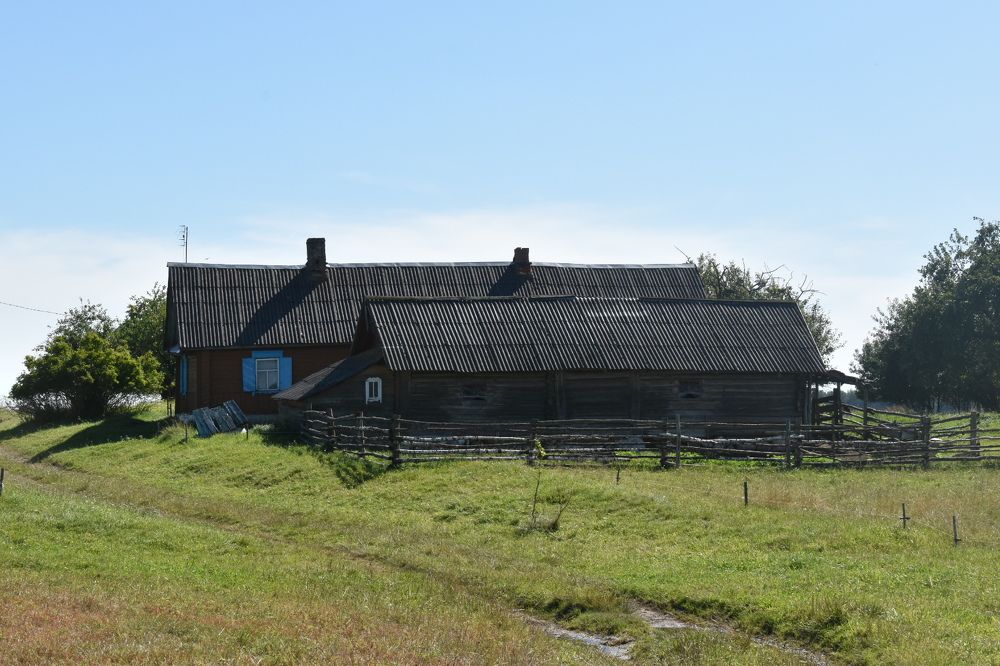 Фотография автора Catherine Shashkova