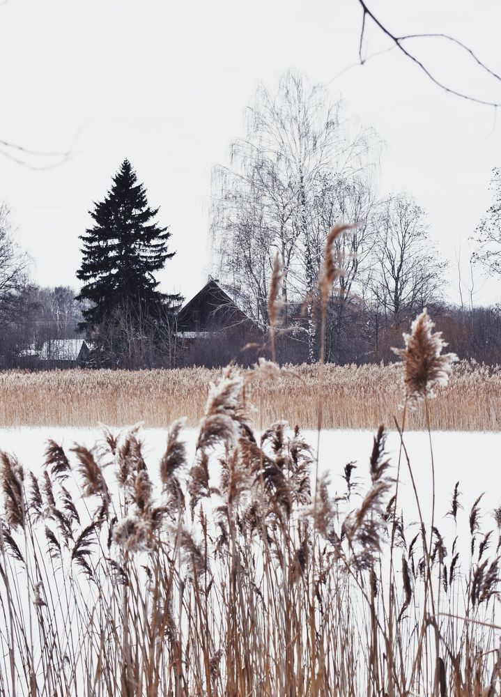 Фотография автора Catherine Shashkova