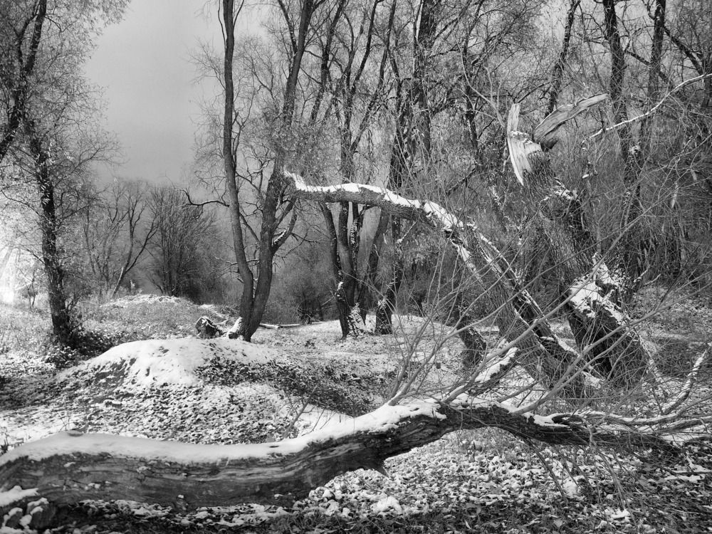 Photograph by Надежда Васильева