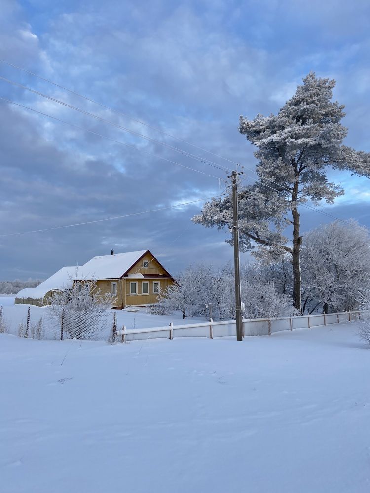 Photograph by Маргарита Миронова