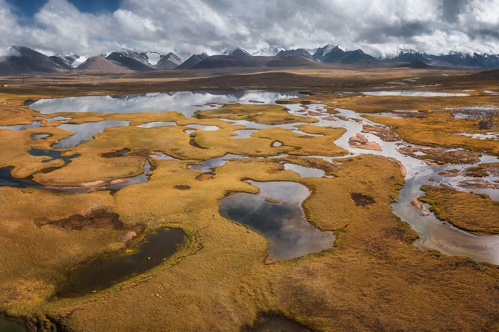 Photograph by Marina Sorokina