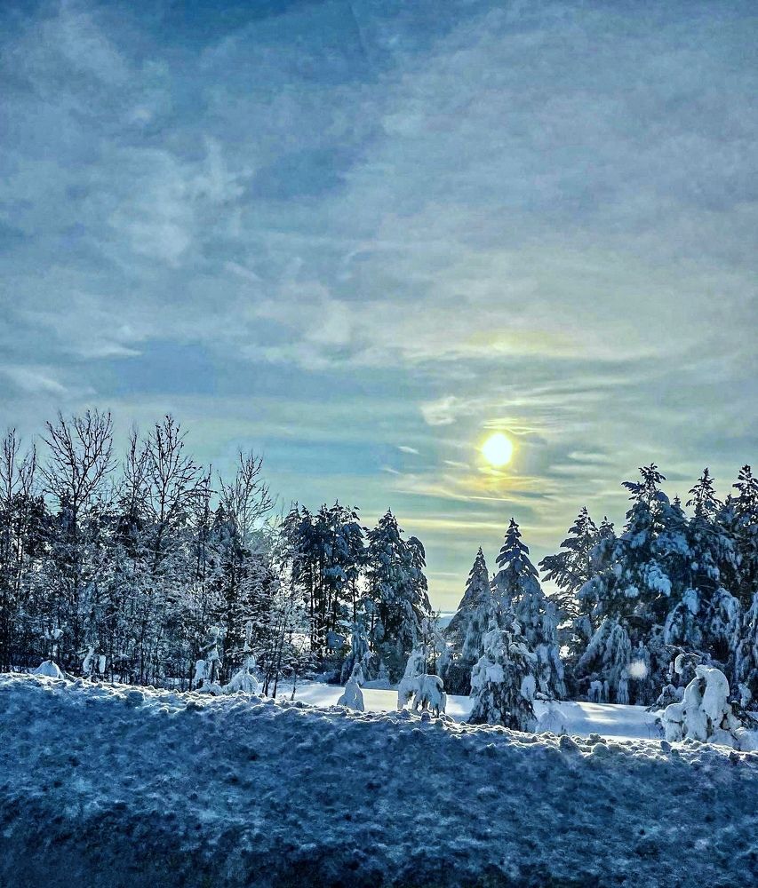 Фотография автора Рамзия Хисамутдинова