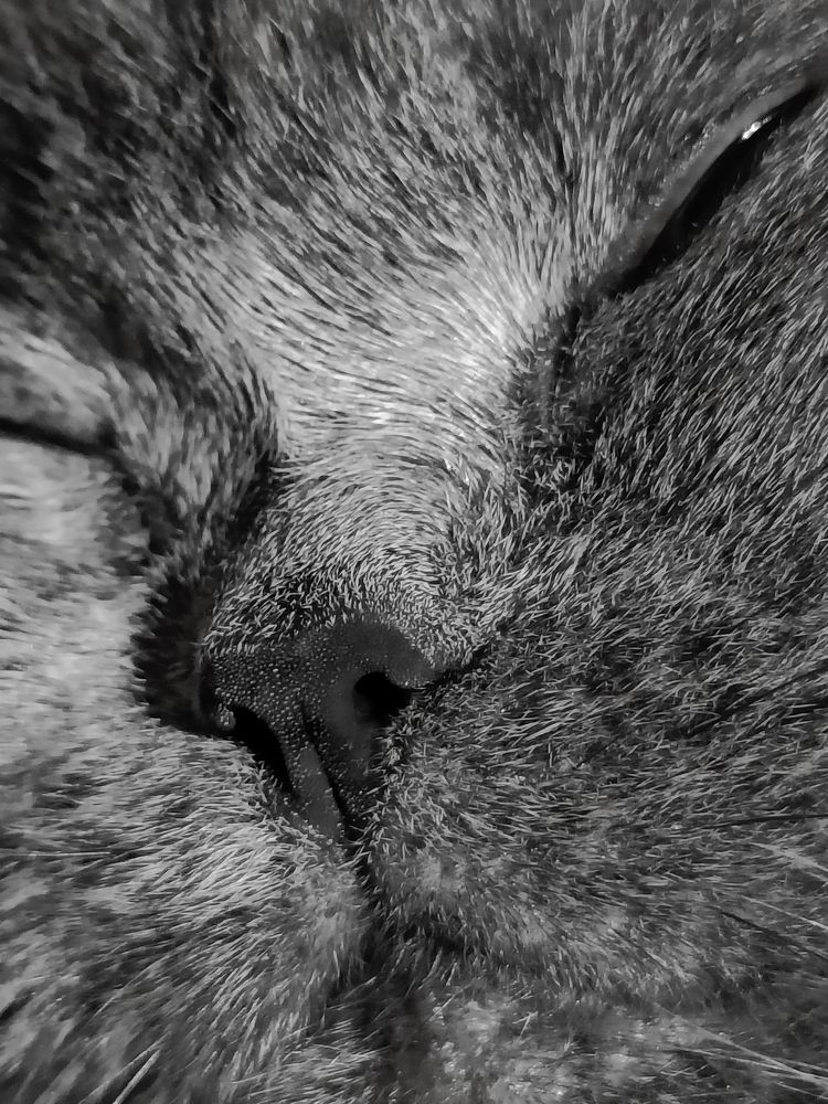 Photograph by Елена Шуть