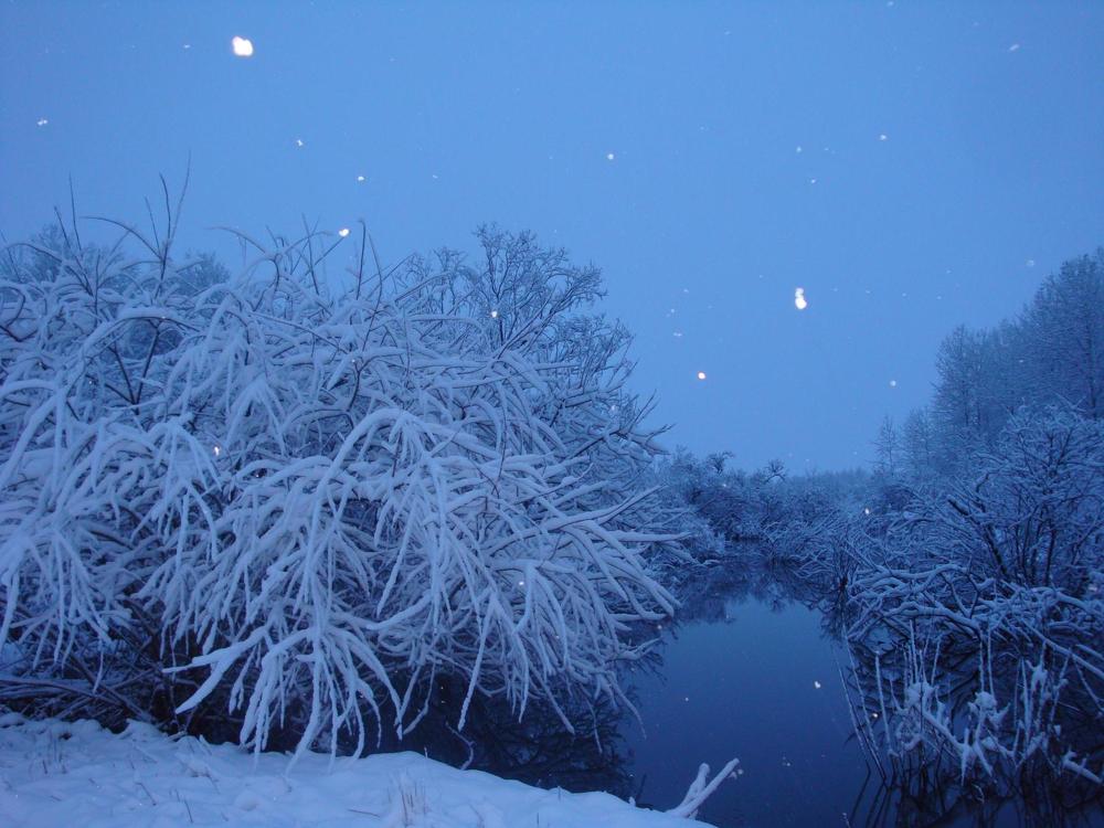 Photograph by Ольга Федякина