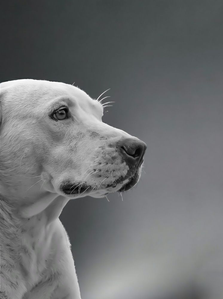 Photograph by Deivisson Lucas de Paula