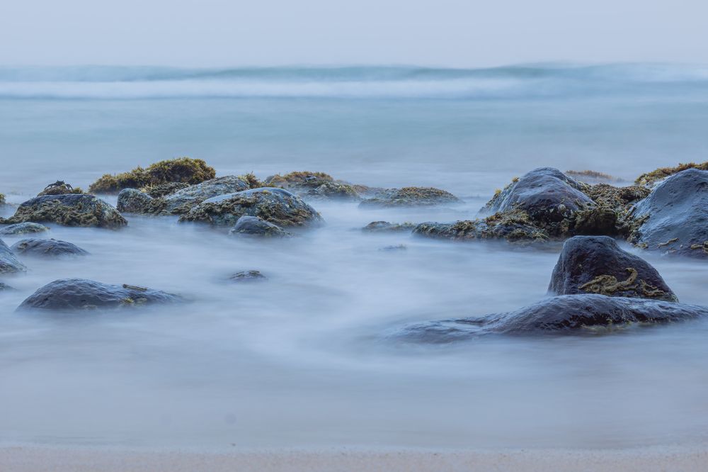 Photograph by Sonnadara Kushan Madushanka