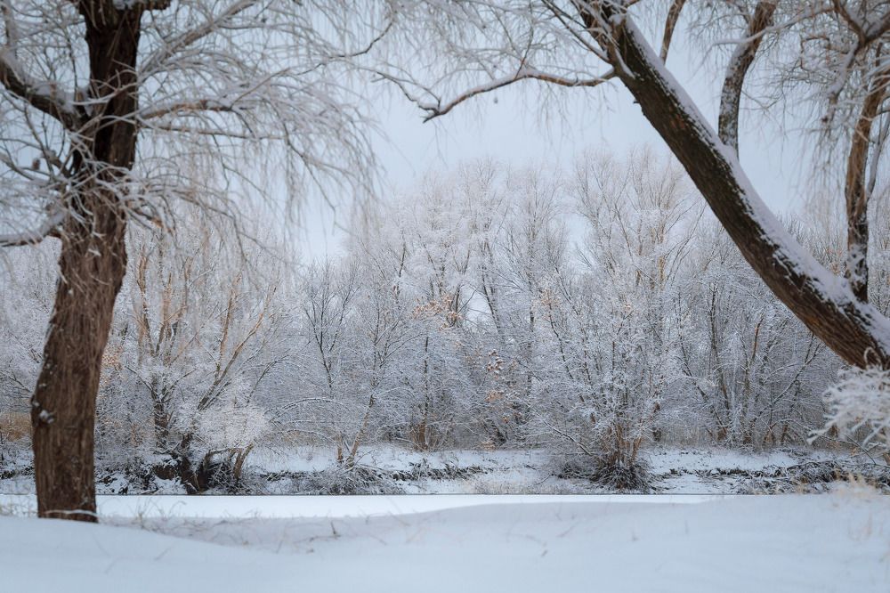 Photograph by Олег Дорошенко