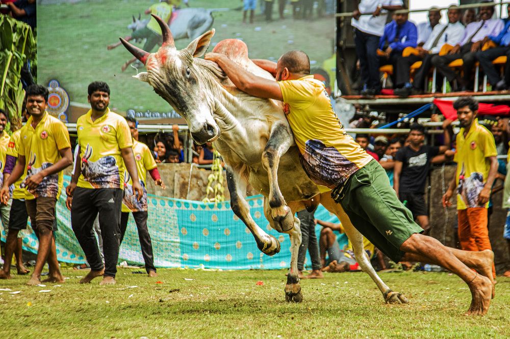 Street & Cultural  Sports