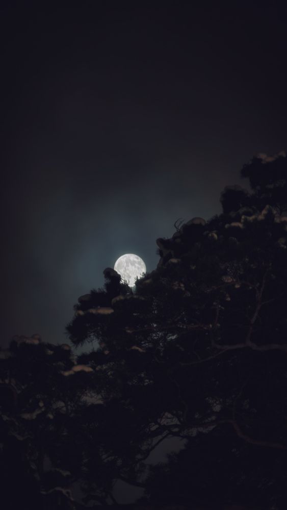 Фотография автора Всеволод Юрша