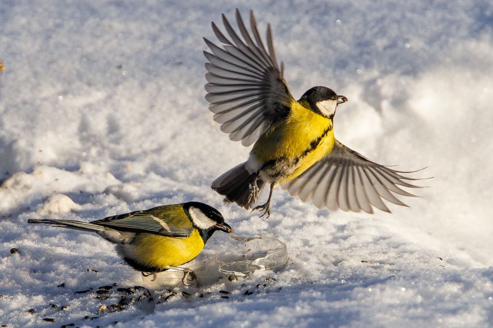 Photograph by Евгений Наймушин