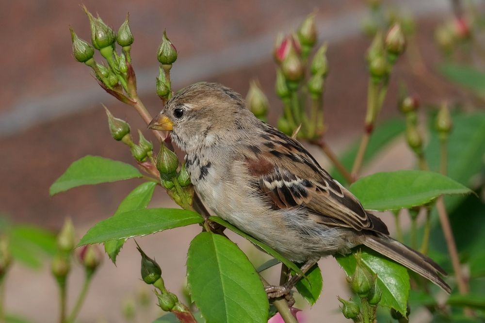 Photograph by Александр