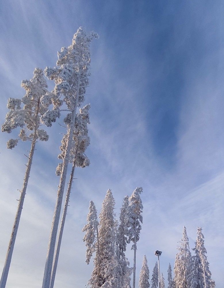Photograph by Вадим Пикалов