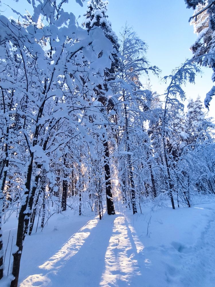 Photograph by Вадим Пикалов