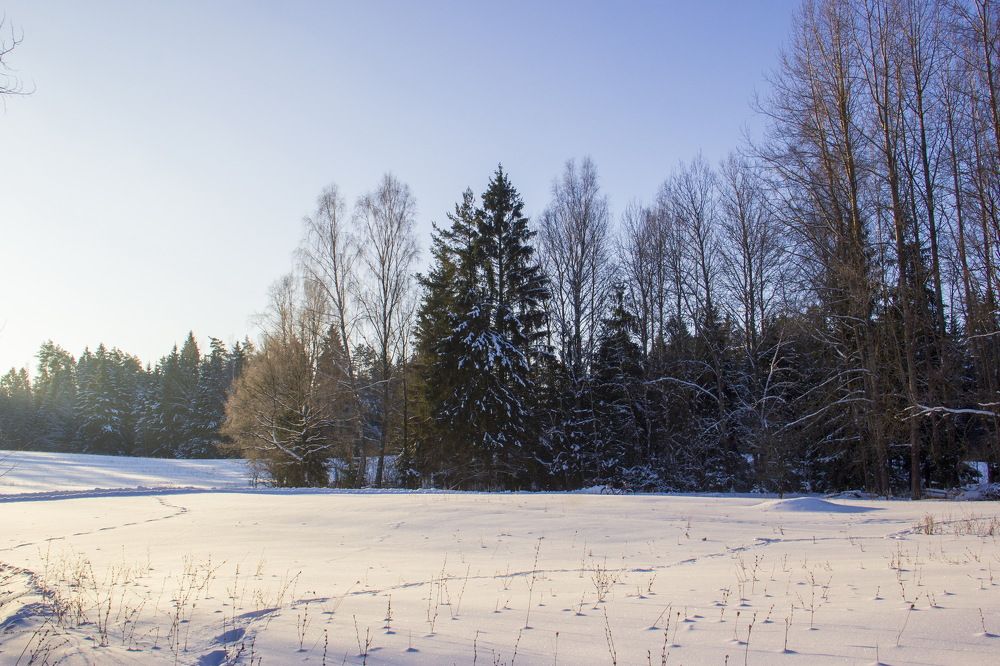 Photograph by Анна-Лаймуте Милошевич