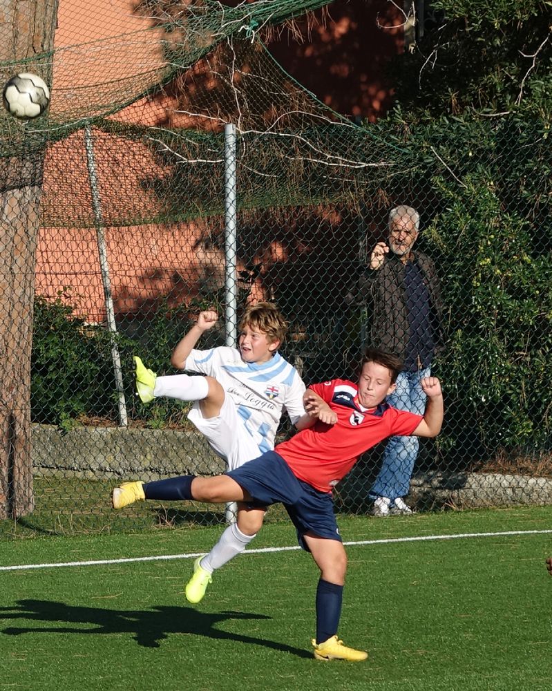 Фотография автора Lagona Nicolò