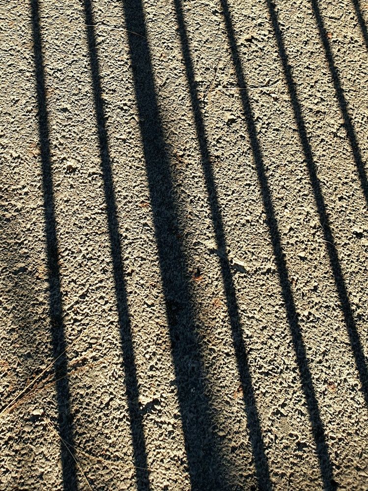 Photograph by Miller Galina