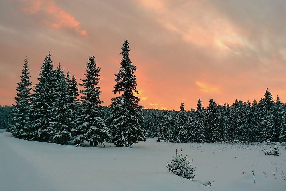 Photograph by Сергей Петров