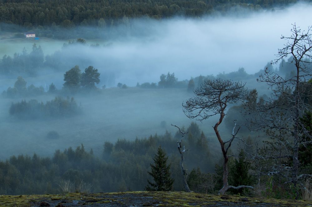 Photograph by Вячеслав Косенков